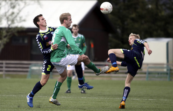 hartmann_arborg020611gk_282317127