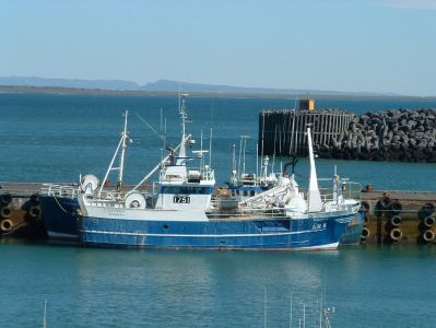 hasteinnAR8vidbrygg_977286731