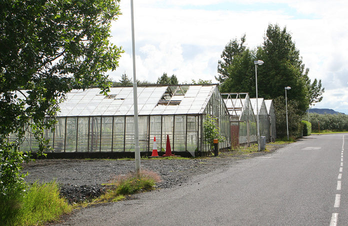 heidmork70_hveragerdi2010sigm_378731819