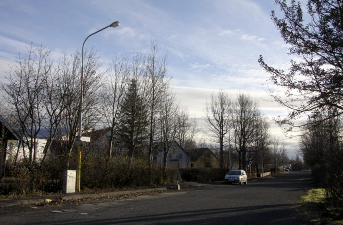 heidmork_self2010gk_938589452