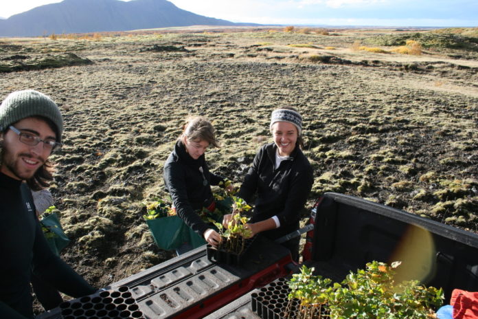 hekluskogar_713757134