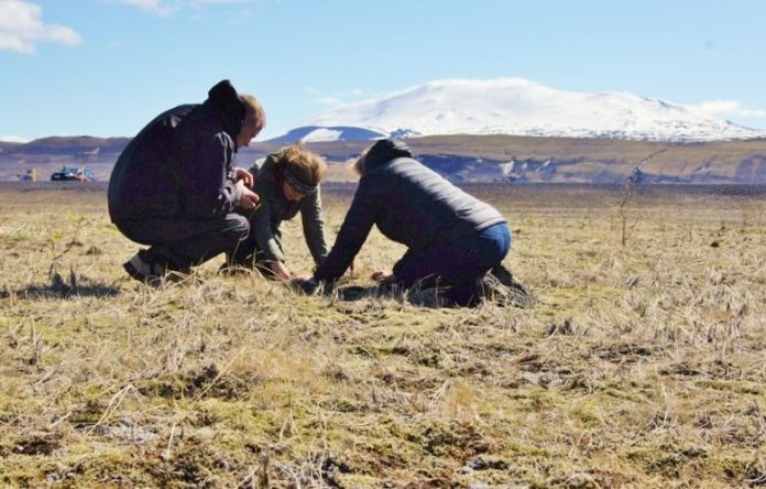 hekluskogar_898983533