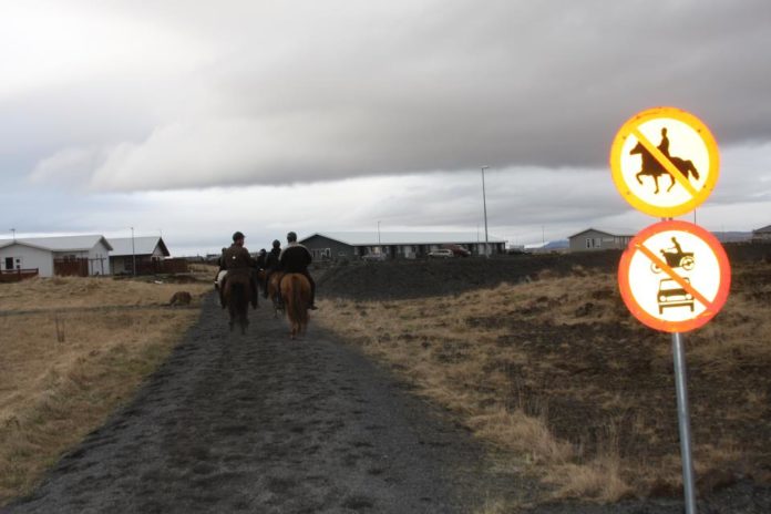 hestastigur_apr2012aya_669839856