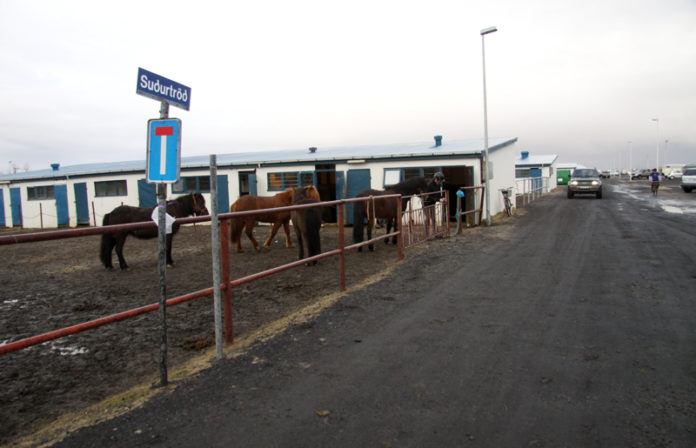 hesthusahverfi_selfoss050411gk_325843488