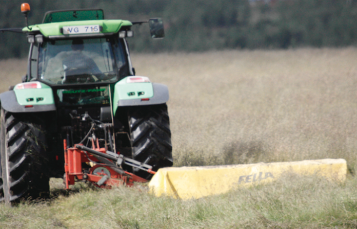 heyskapurMHH_410763961