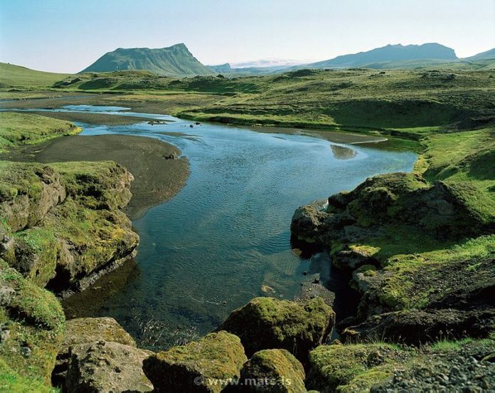 holmsa_fjallabaksydra_MATS_696632073