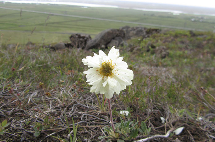 holtasoley020711mo_304970761