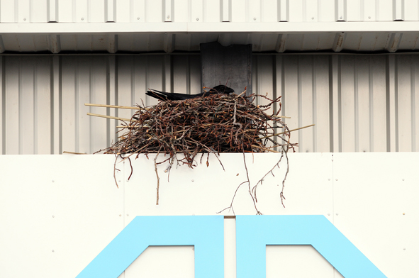 hrafnahreidur_byko_web_476607382