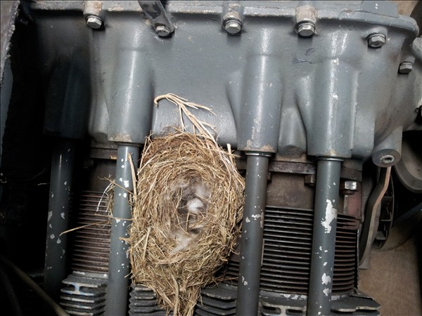 hreidur_flugvel2012_449403094