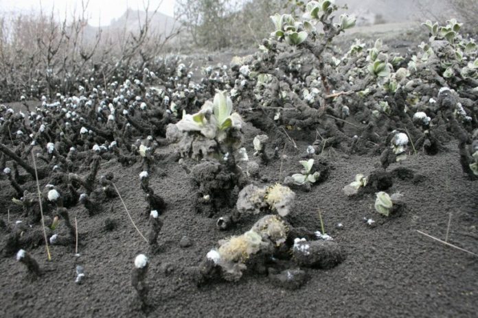 hreinn_oskars2012_233455335