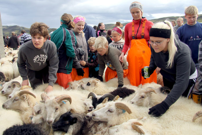 hrunarettir2010gk_415248299