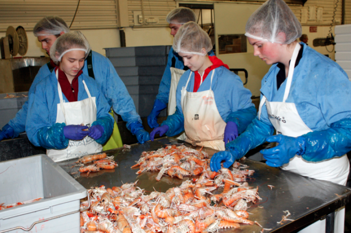 humar_audbjorg2014mhh_229480434