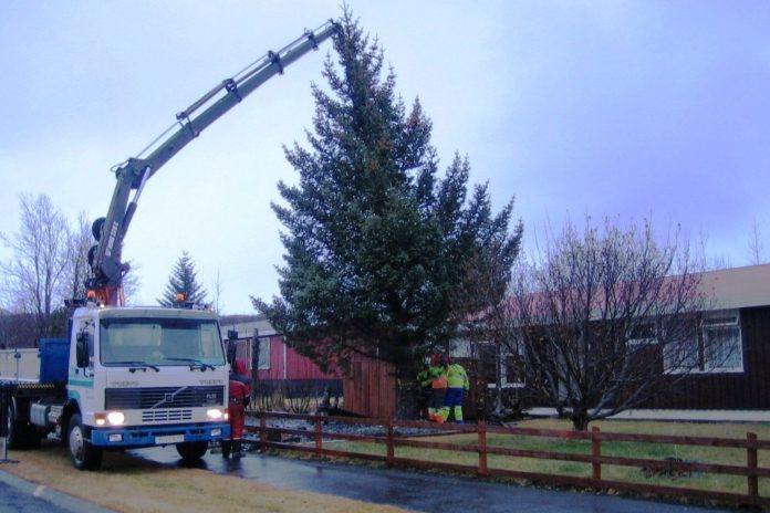 hveragerdi_jol12_110353344