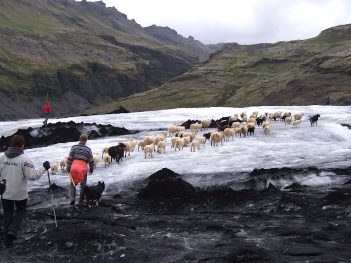 hvitmaga2007sighj_117156274