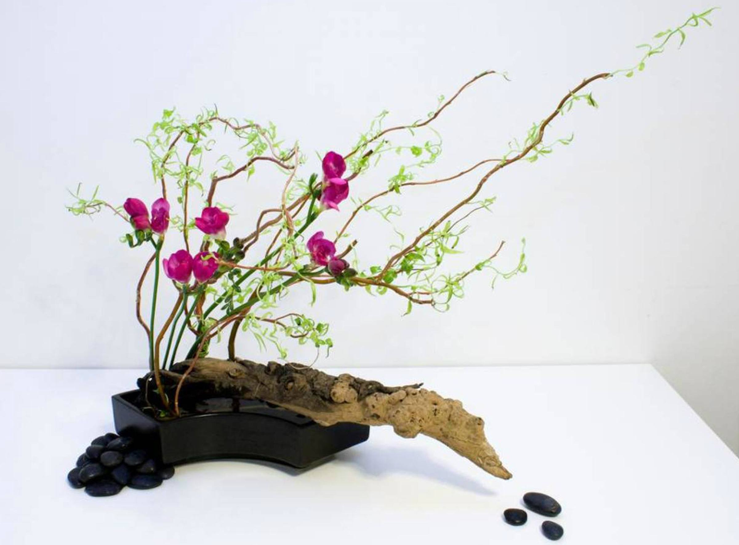 ikebana_723678136