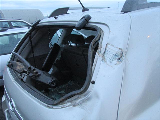 image635373869647629908_683700630