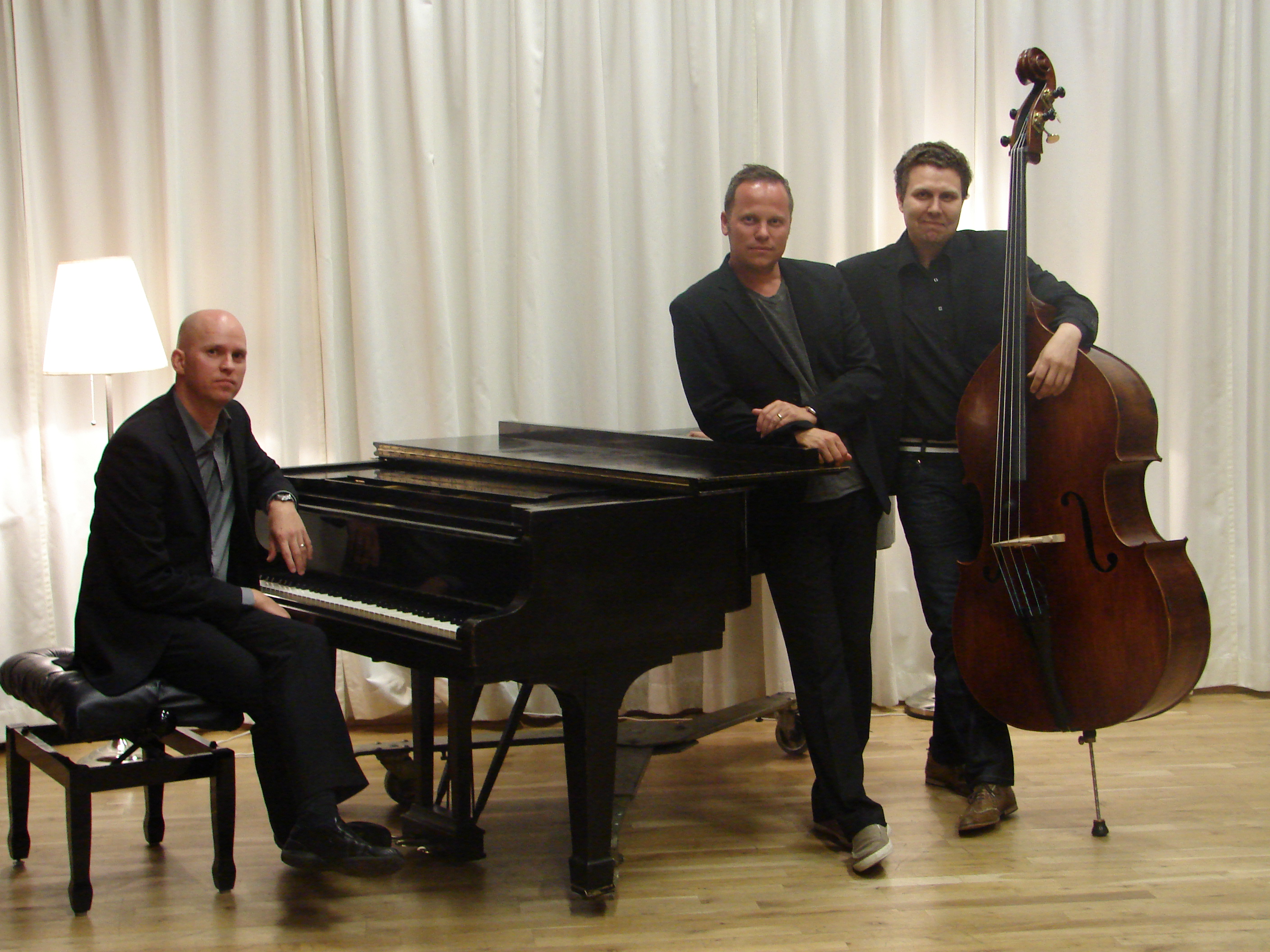 jasstrio_pallisveins2011_199737407