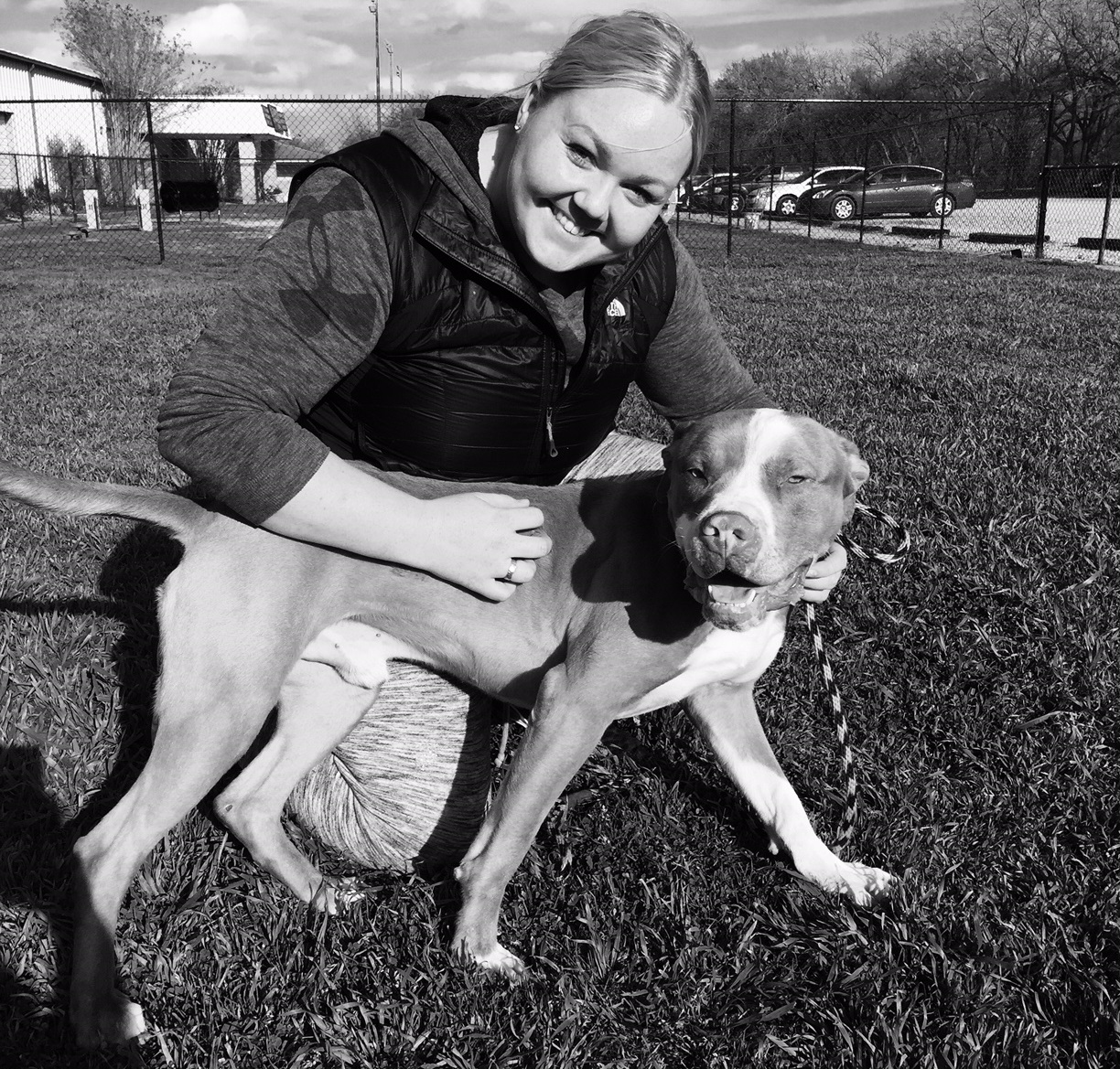 johanna_allirhundar2015_334168303