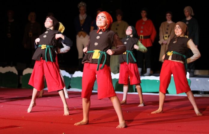 jolasyning_fimleikadeildarUMFS2013_878095210