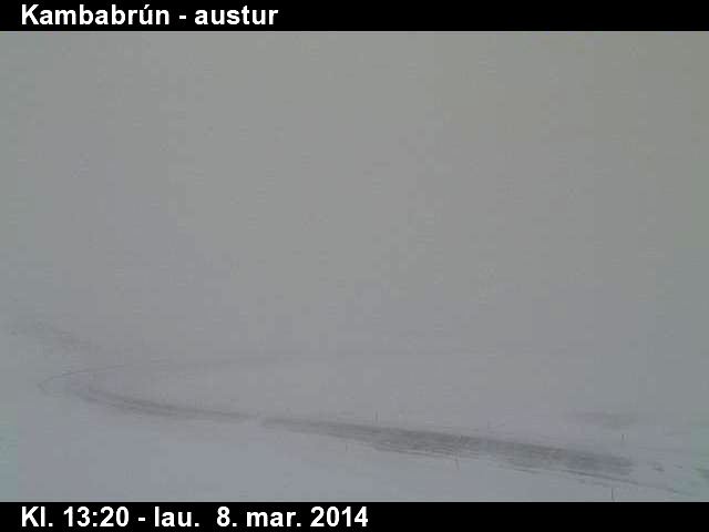 kambabrun080314_766149998