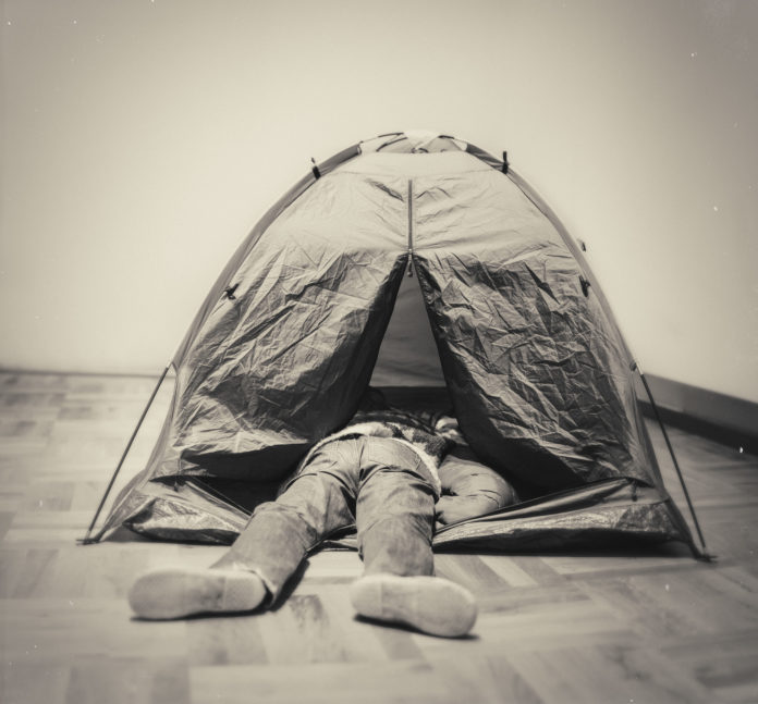 leikfelag_nfsu2013_675912951