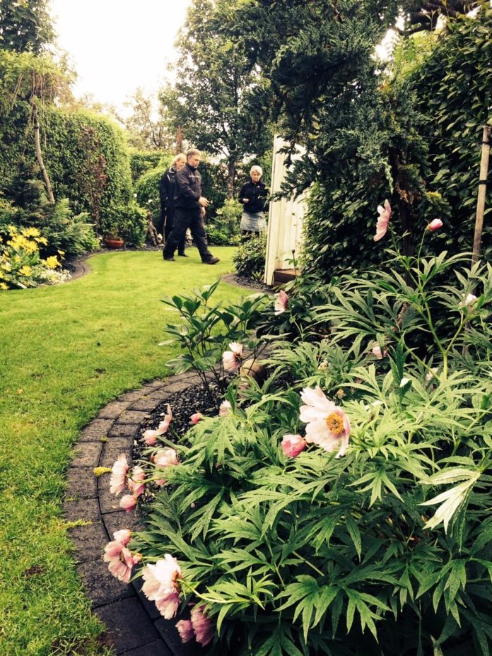 lyngheidi1_hverag2014_175725968