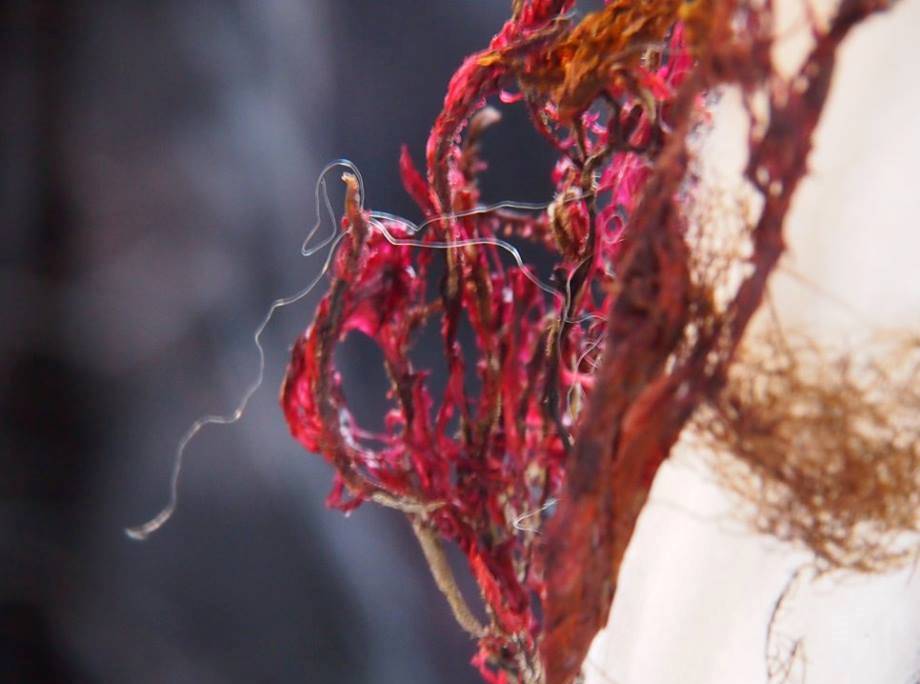 mar__r____ir_482234959