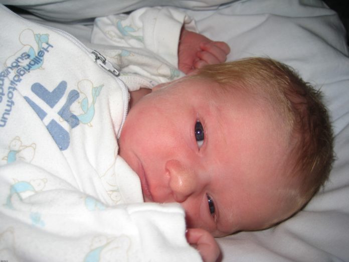 mariudottir_jol2011hsu_325925588