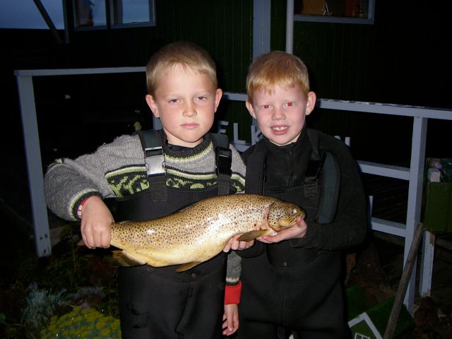 maron_tristan2013veidivbm_152518579