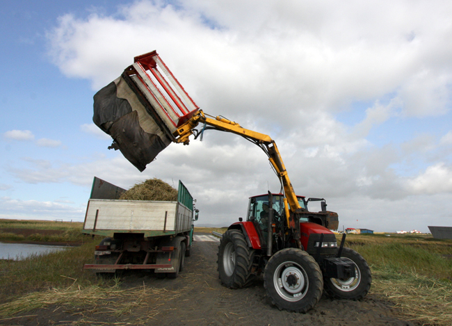 melgresi_fraesofnun_land2014_565793030