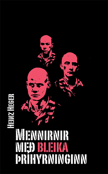 mennirnir_fors_300997159