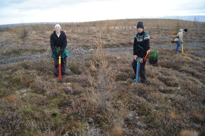 mosfell_grodurs2012ho_841878798