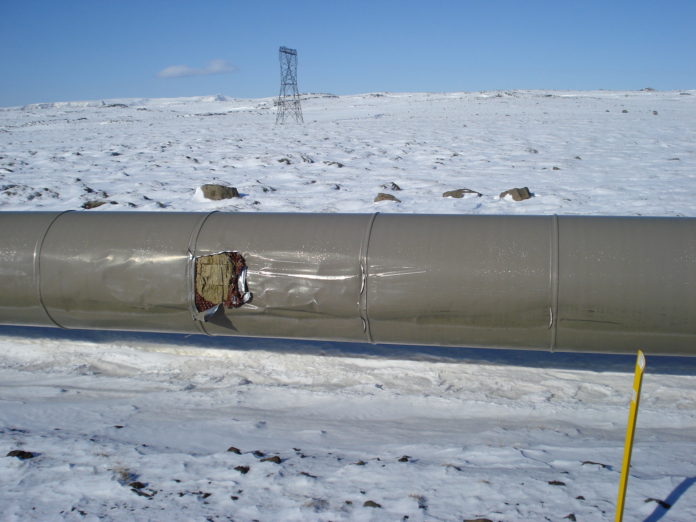 nesjavallalognin2013_593715253