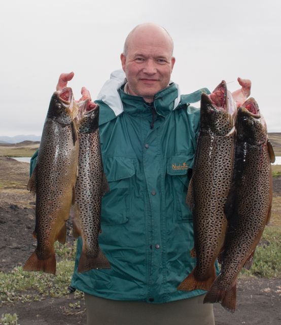 orn_oskarsson2013_182659936