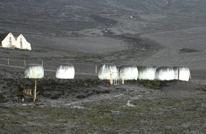 oskufall_heybanki_sj_121955581