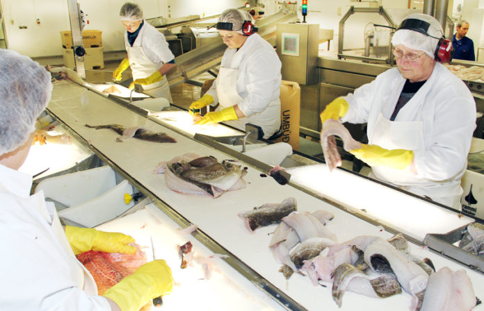 rammi100111sigm_361513608