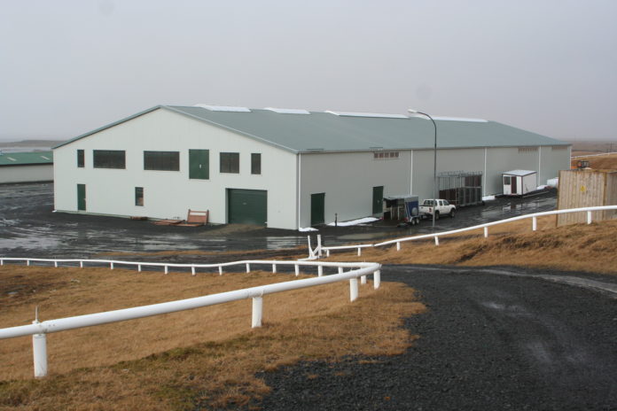 reidh__ll_Hellu_504287016