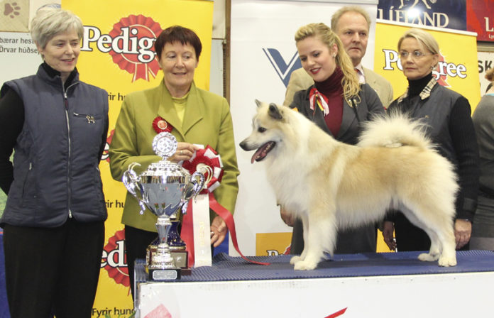 rektor201111vg_481528043