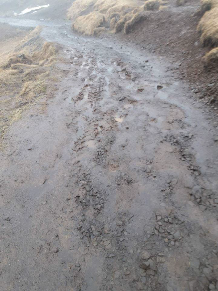 reykjadalur13042017_541297877