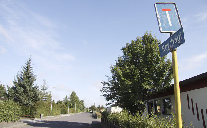 reyrhagi2010jsh_392861623