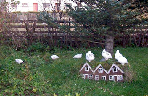 rjupa_skeidflot2010fb_576147082