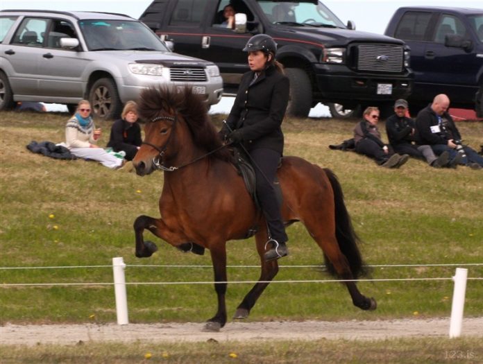 sara_diva_alfholar_hofapressan_360796214