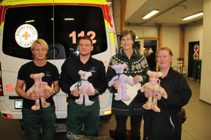 sjukrabilar_bangsagjof2013_384012153