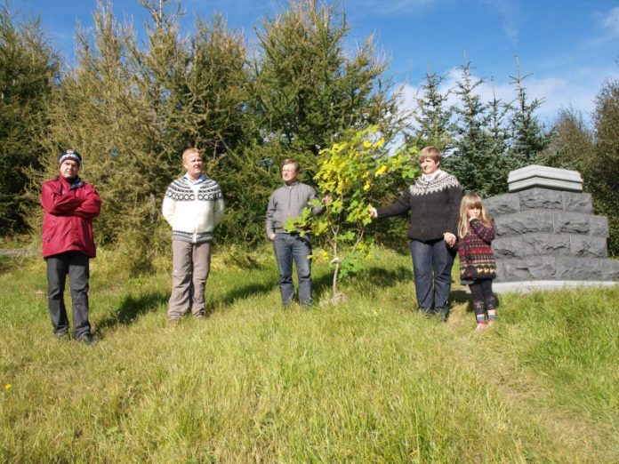 skograektarf_hellissk160912bb_646390356