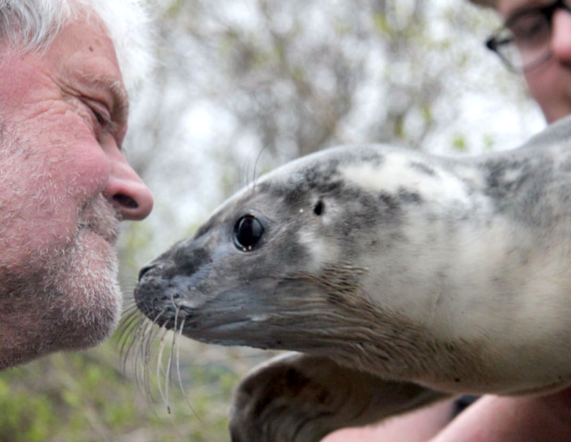 slakki_selkopur_2015_554250921