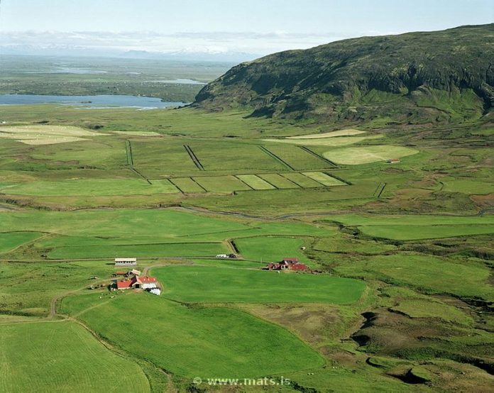 stori_hals_952499436