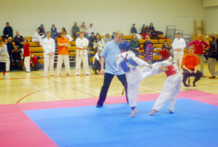 taekwondo300111sp_535068852