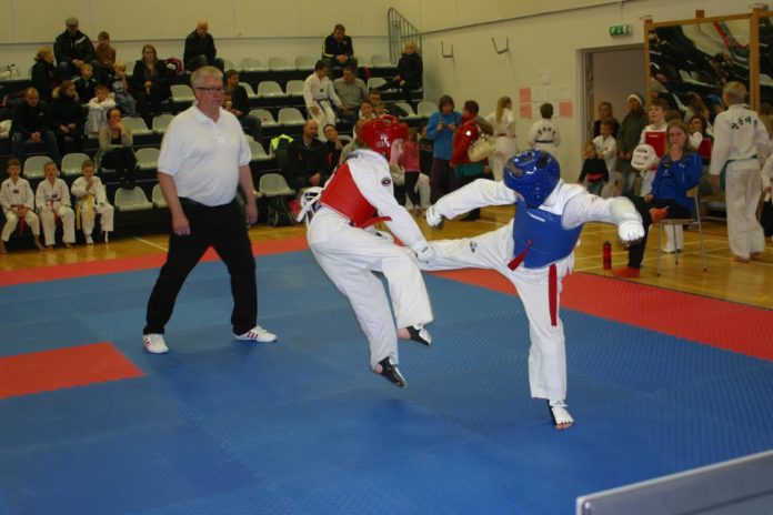 taekwondo_HSK2013_842925013
