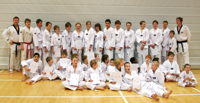 taekwondo_beltaprofdes10_312600751