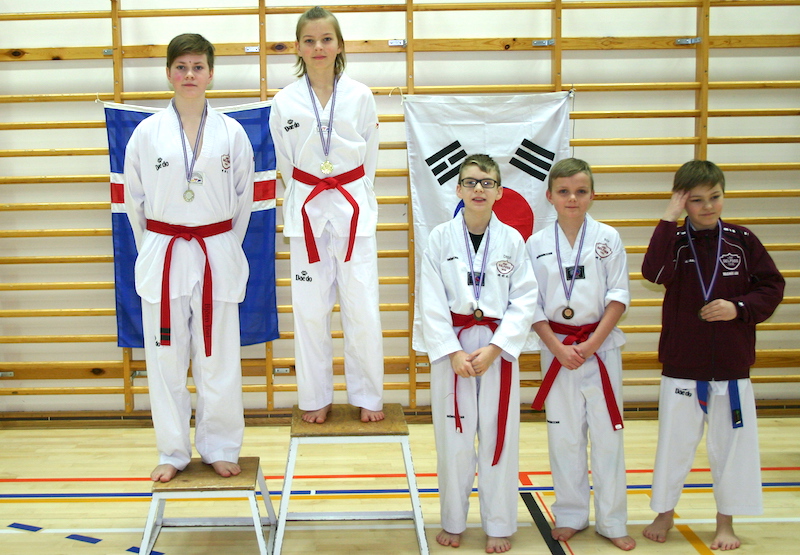 taekwondo_hsk20152016JPG_544946523